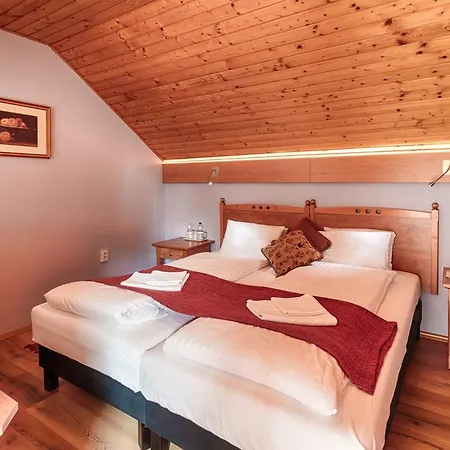 Pensjonat Opusztaszeri Erdei Wellness Vendeghaz 3*