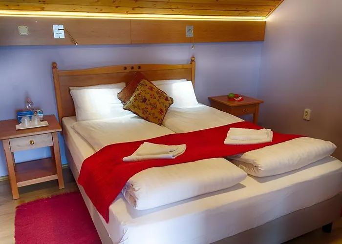 Opusztaszeri Erdei Wellness Vendeghaz Opusztaszer