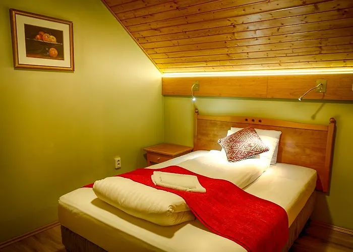 Pensjonat Opusztaszeri Erdei Wellness Vendeghaz 3*