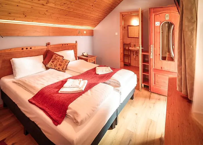 Pensjonat Opusztaszeri Erdei Wellness Vendeghaz