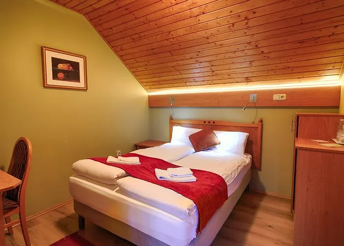 Pensjonat Opusztaszeri Erdei Wellness Vendeghaz